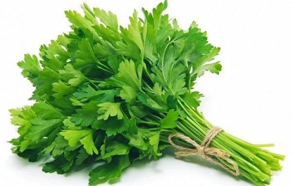 Rau Cần Tàu Trị Bệnh Gì