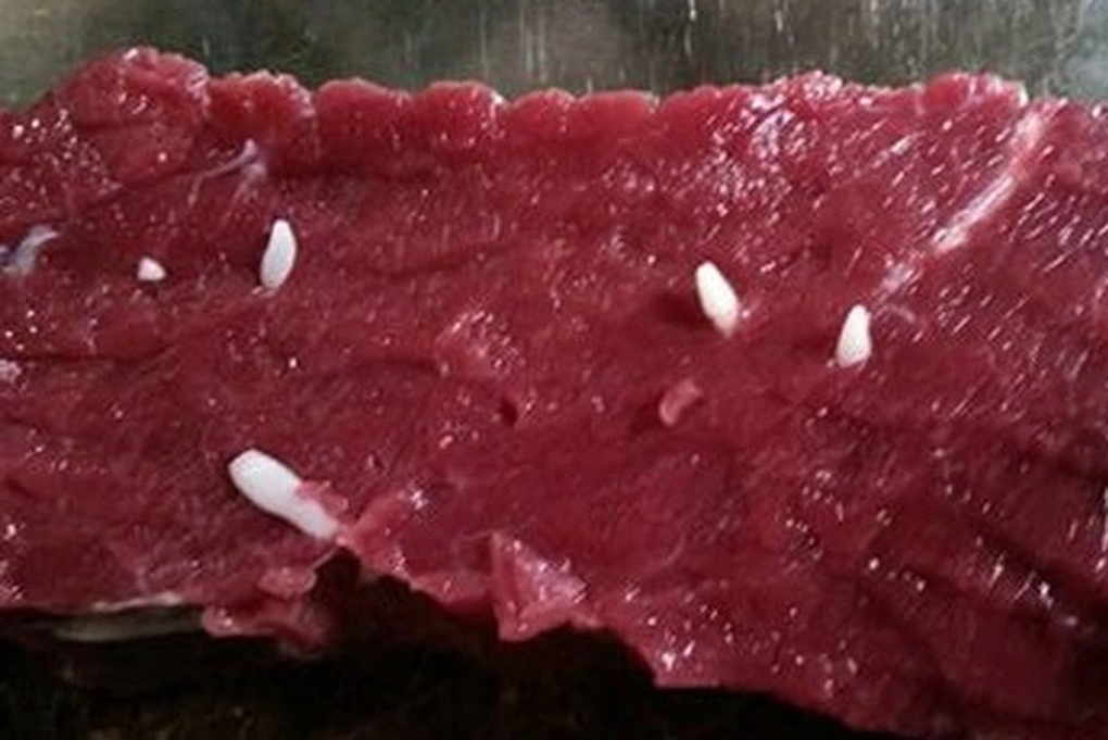 Sán Trong Thịt Bò