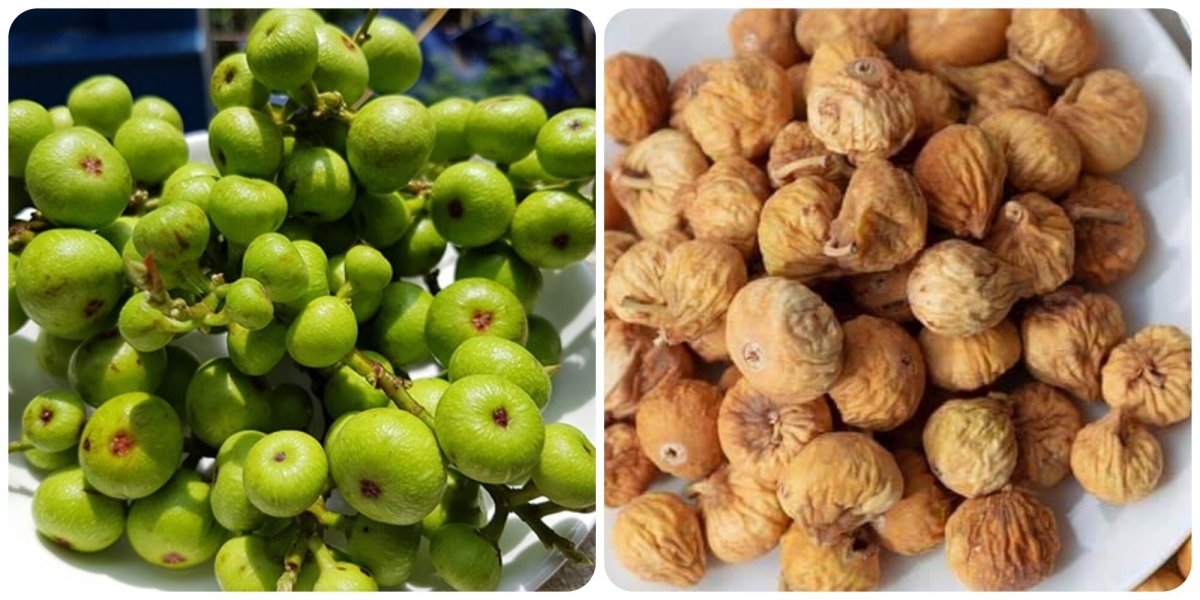 Tác Dụng Của Quả Sung Khô