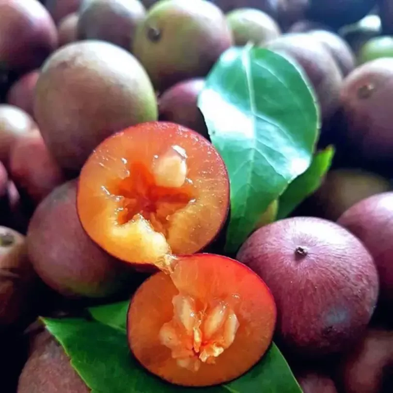 Trái Bần Quân